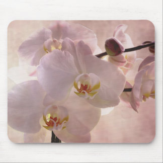 Tapis De Souris Mousepad d'orchidée