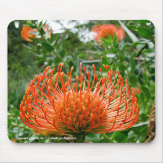 Tapis De Souris Mousepad - Fleur de coussin à épingle de Protea