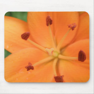 Tapis De Souris Mousepad floral orange Lily