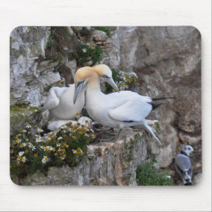 Tapis De Souris Mousepad : Fous de Bassan et fleurs