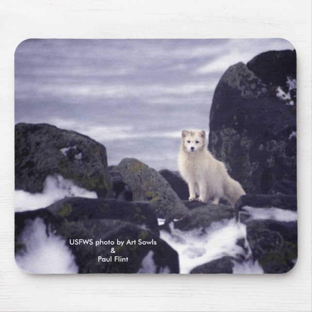 Tapis De Souris Mousepad/Fox arctique (Devant)