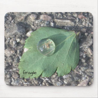 Tapis De Souris Mousepad fragile