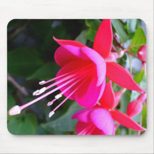 Tapis De Souris Mousepad fuchsia