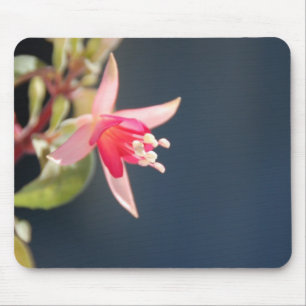 Tapis De Souris Mousepad fuchsia rose