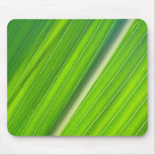 Tapis De Souris Mousepad hellgrünes Maisblattdesign