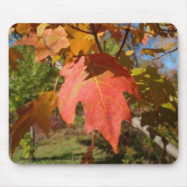 Tapis De Souris Mousepad impertinent de nature (Devant)