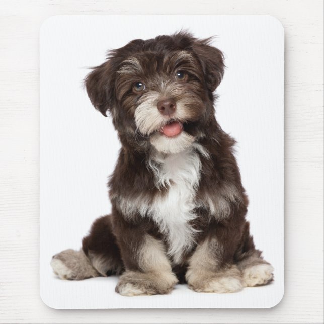 Tapis De Souris Mousepad, le chien coquelicot amoureux du Havanais (Devant)