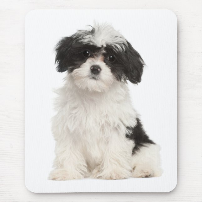 Tapis De Souris Mousepad, le chien coquelicot amoureux du Havanais (Devant)