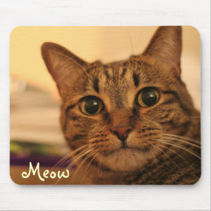 Tapis De Souris Mousepad mignon de visage de chat tigré
