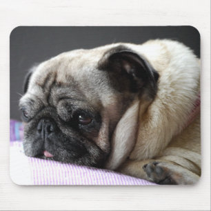 Tapis De Souris Mousepad Mops Carlin Pug