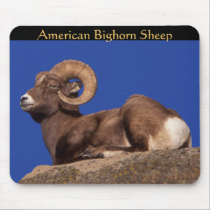Tapis De Souris Mousepad, mouton du Caucase américain