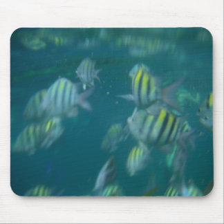 Tapis De Souris mousepad naviguant au schnorchel