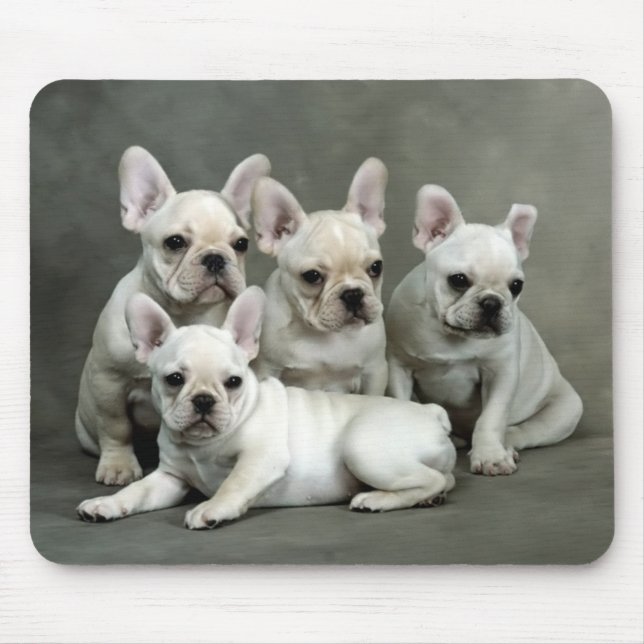 Tapis De Souris Mousepad, petit chien coquelicot français (Devant)