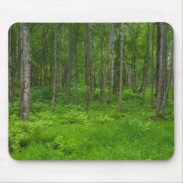 Tapis De Souris Mousepad pittoresque vert boisé