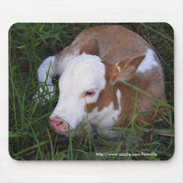 Tapis De Souris Mousepad somnolent de veau de bébé (Devant)