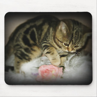 Tapis De Souris Mousepad tigré de chaton
