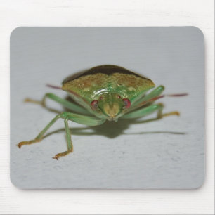 Tapis De Souris Mousepad vert d'insecte de puanteur