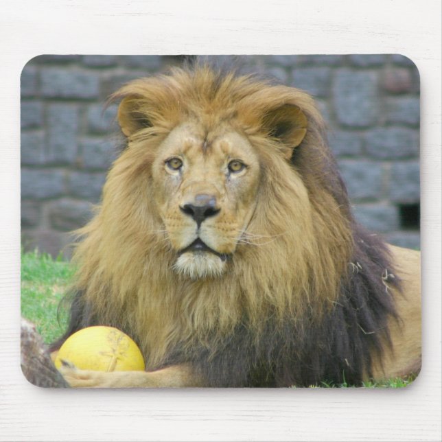 Tapis De Souris Mousepads animal assorti (Devant)