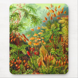 Tapis De Souris Mousses