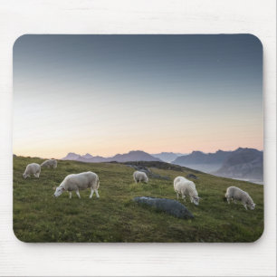 Tapis De Souris Mouton d'affaissement