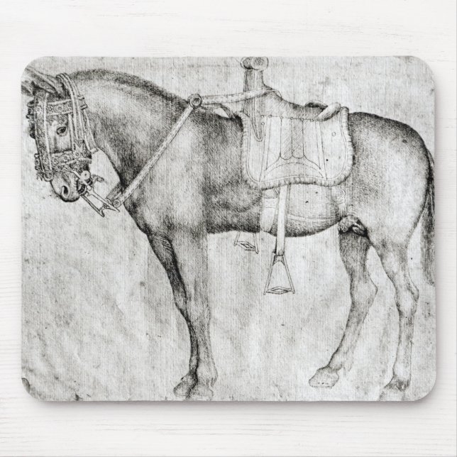 Tapis De Souris Mule, de l'album de Vallardi (Devant)