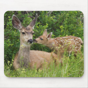 Tapis De Souris Mule Deer Doe avec Fawn