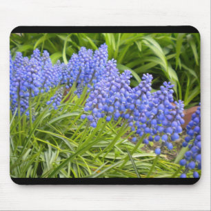 Tapis De Souris Muscari/raisin Hyacinth Souris
