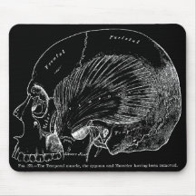 Muscle temporel humain de dessin Médicale vintage