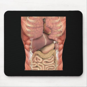 Tapis De Souris Muscles humains Organes Effrayant Enseignant Anato