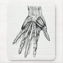 Muscles Médicale vintages de dessin de la main