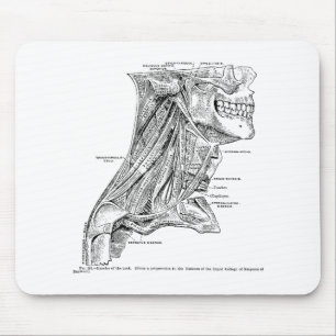 Tapis De Souris Muscles vintages humains d'anatomie du cou