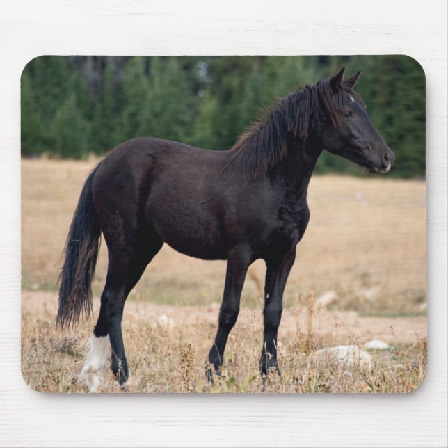 Tapis De Souris Mustang sauvage (Devant)