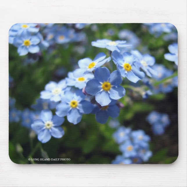Tapis De Souris Myosotis (Devant)