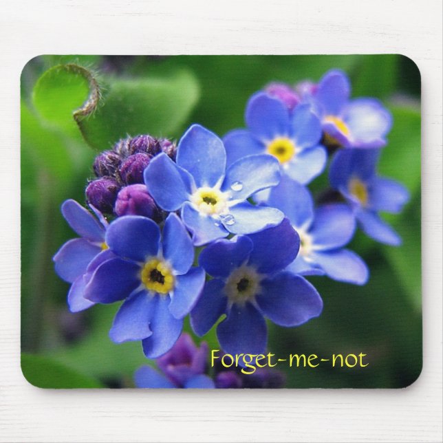 Tapis De Souris Myosotis (Devant)