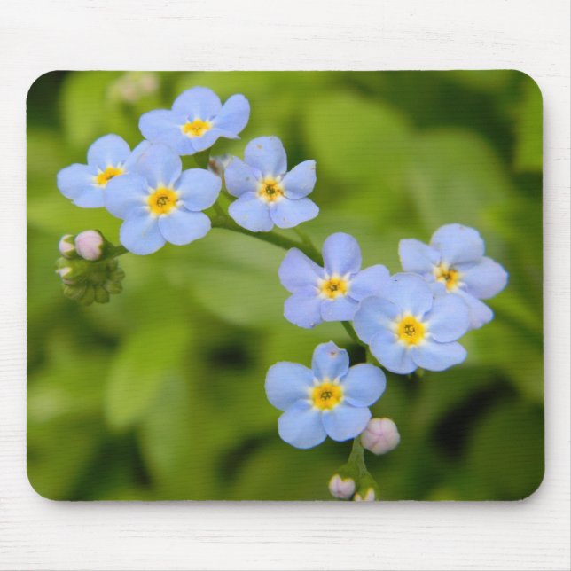 Tapis De Souris Myosotis des marais Mousepad (Devant)
