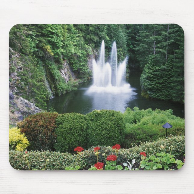 Tapis De Souris N.A., Canada, Colombie-Britannique, Vancouver (Devant)