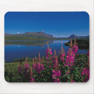 Tapis De Souris N.A., États-Unis, Alaska, Alaska Range Common