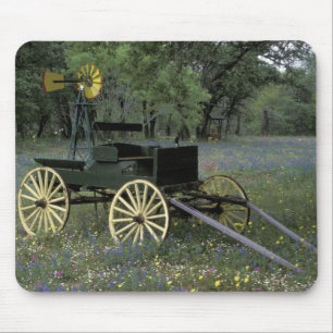 Tapis De Souris N.A., Etats-Unis, le Texas, Devine, vieux chariot