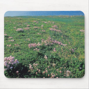 Tapis De Souris NA, États-Unis, Alaska, île d'Aléoutine, Pittoresq