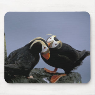 Tapis De Souris NA, États-Unis, Alaska, mer de Béring, Pribilofs. 