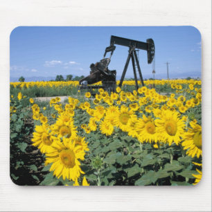 Tapis De Souris Na, États-Unis, Colorado, Tournesols, Derrick de p