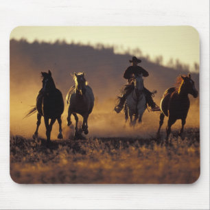 Tapis De Souris Na, Etats-Unis, Orégon, Sénèque, ranch de
