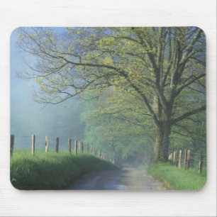 Tapis De Souris NA, États-Unis, Tennessee, Cades Cove, Great Smoky