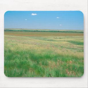Tapis De Souris NA, USA, NE. Grandes terres près d'Ogallala avec