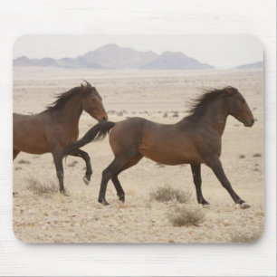 Tapis De Souris Namibie, Aus. Chevaux sauvages courant sur le Nami