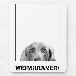 Tapis De Souris Nation de Weimaraner : Weimaraner dans une boîte !
