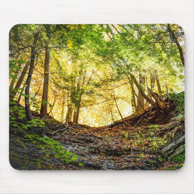 Tapis De Souris Nature du coucher du soleil des bois (Devant)