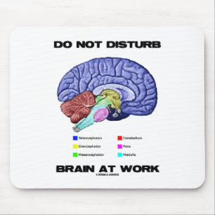 Tapis De Souris Ne touchez pas au cerveau au travail (l'humour