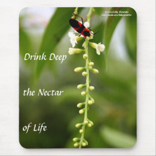 Tapis De Souris Nectar de la vie