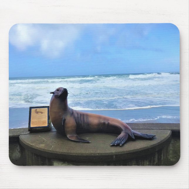 Tapis De Souris Nelscott Reef, Lincoln City, Oregon (Devant)